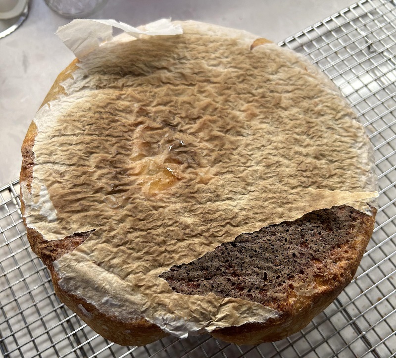 علت چسبیدن غذا به کاغذ سرخکن